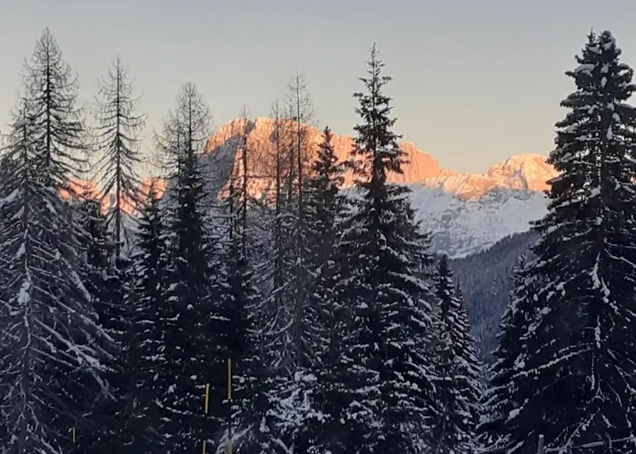 Lägenhet Casa Neve E Sole - Presso Sussy Falcade